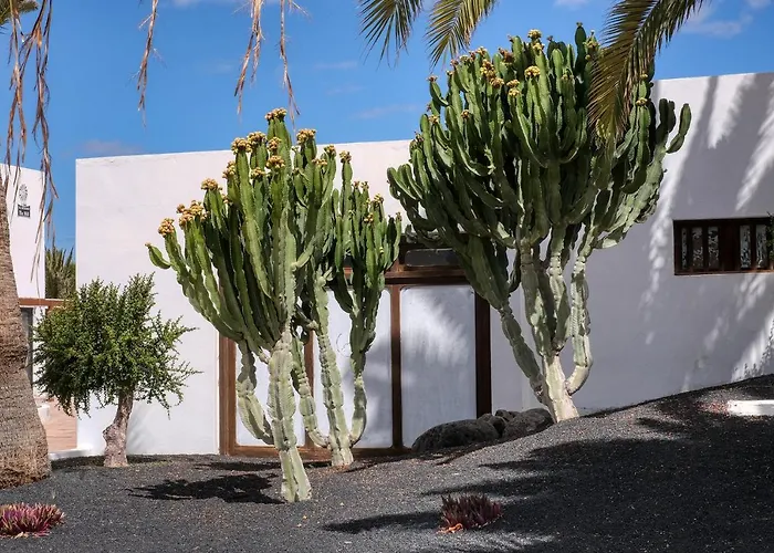 Molinos Luxury Y Relax - By Lanzarote Costa Teguise